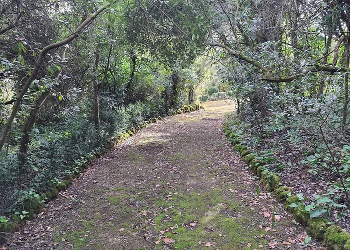 Casa D Venkovský dům Óbidos